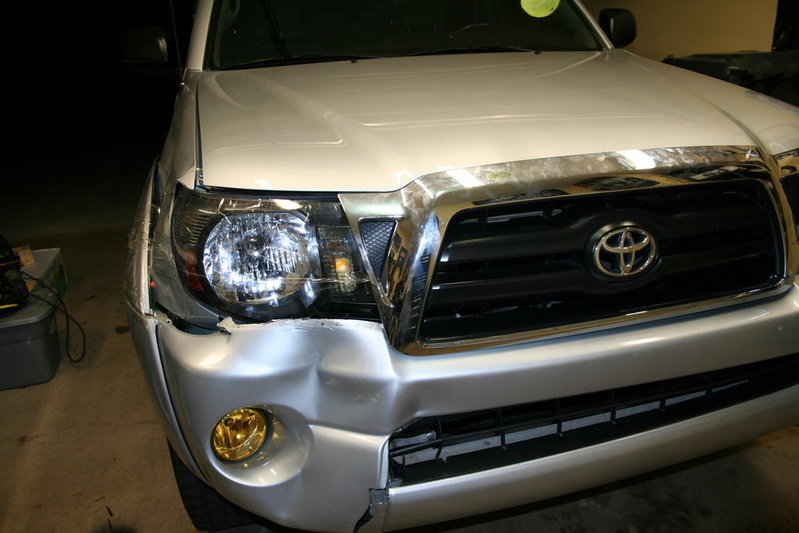 Deer 007.jpg
