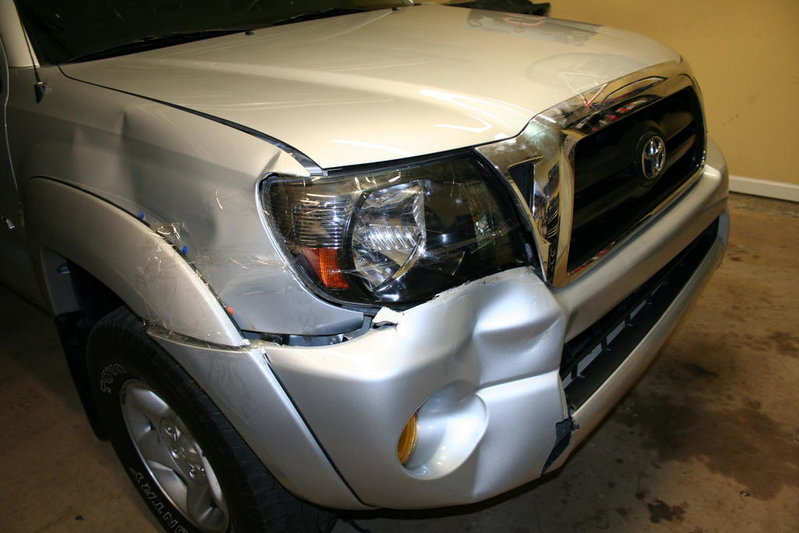 Deer 008.jpg