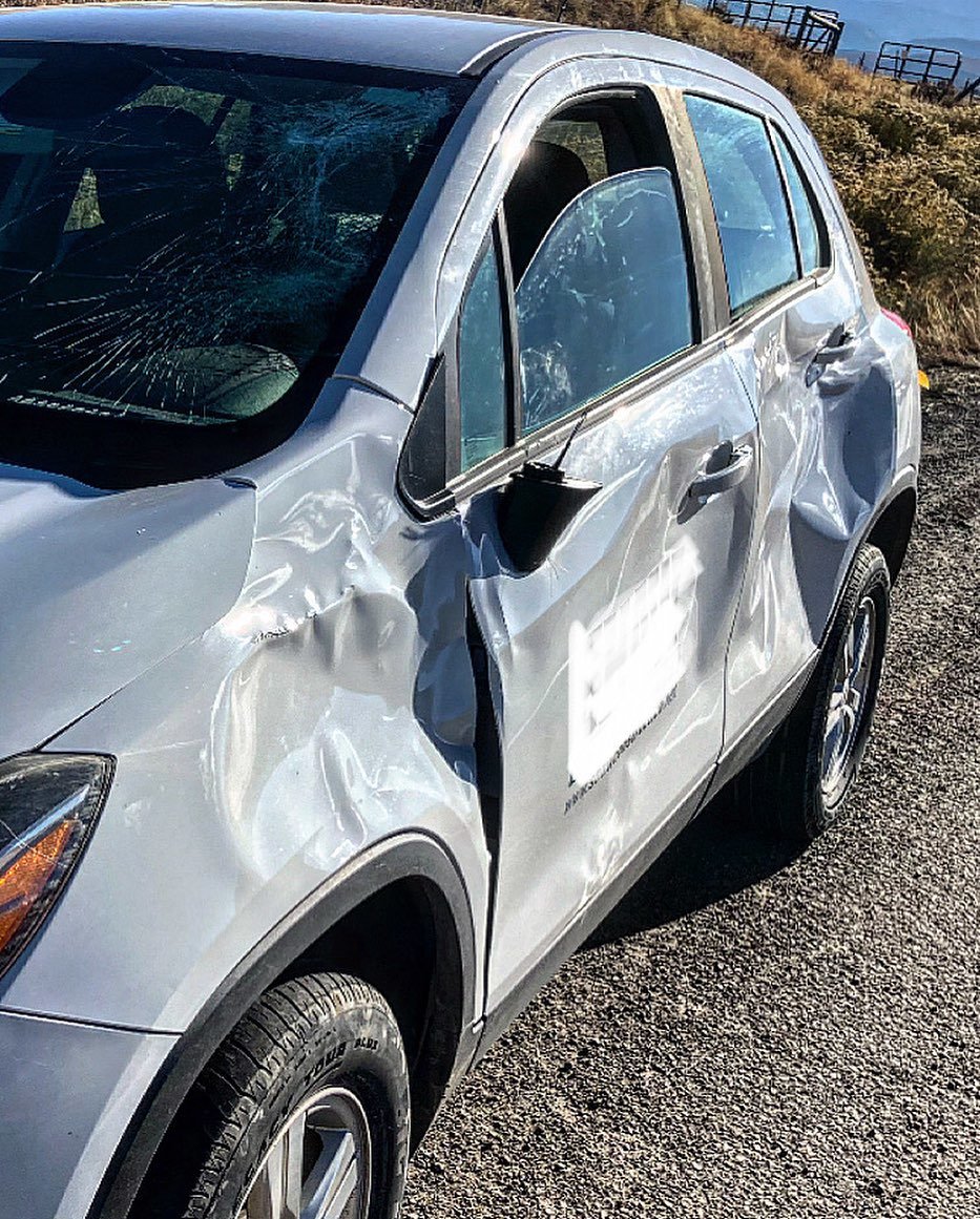 Deer Car.jpg