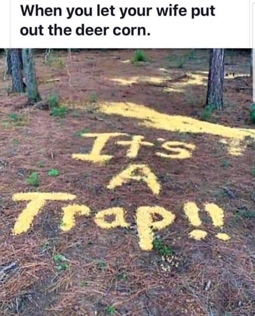Deer Corn.jpg