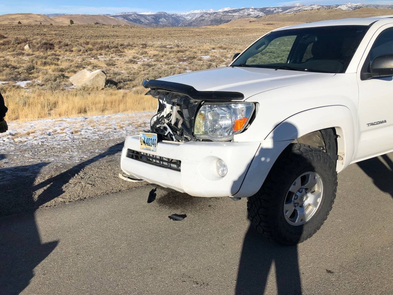 Deer hit 1.jpg