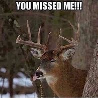 deer.jpg