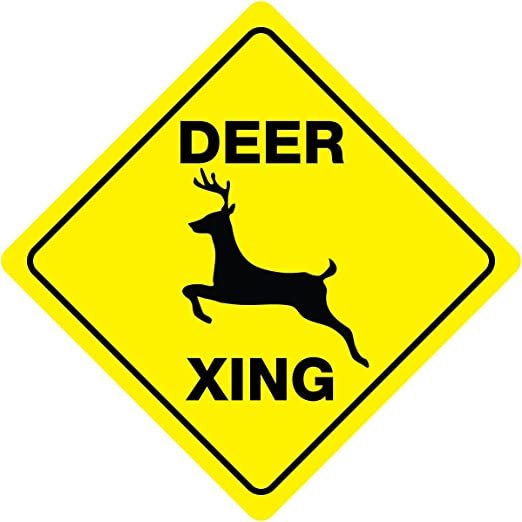 deer .jpg