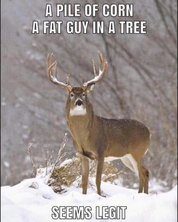 deer legit.jpg