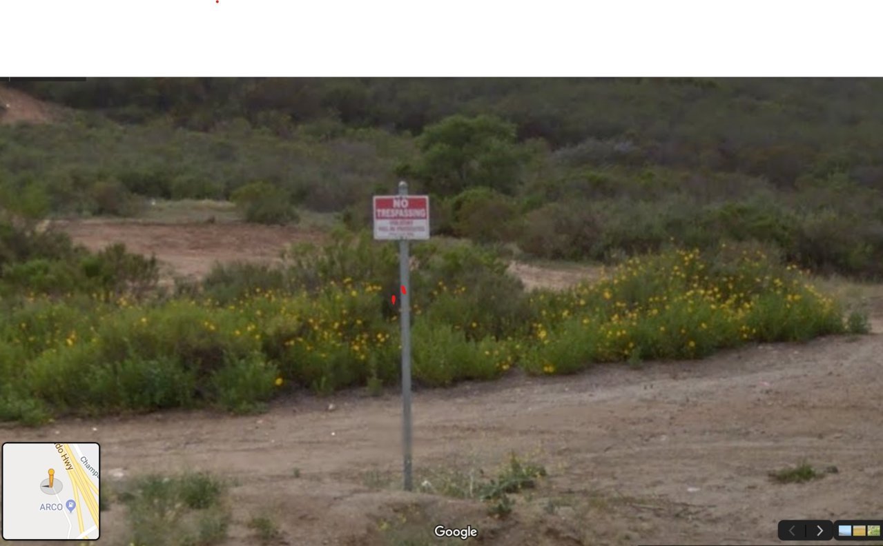 deer springs rd.jpg