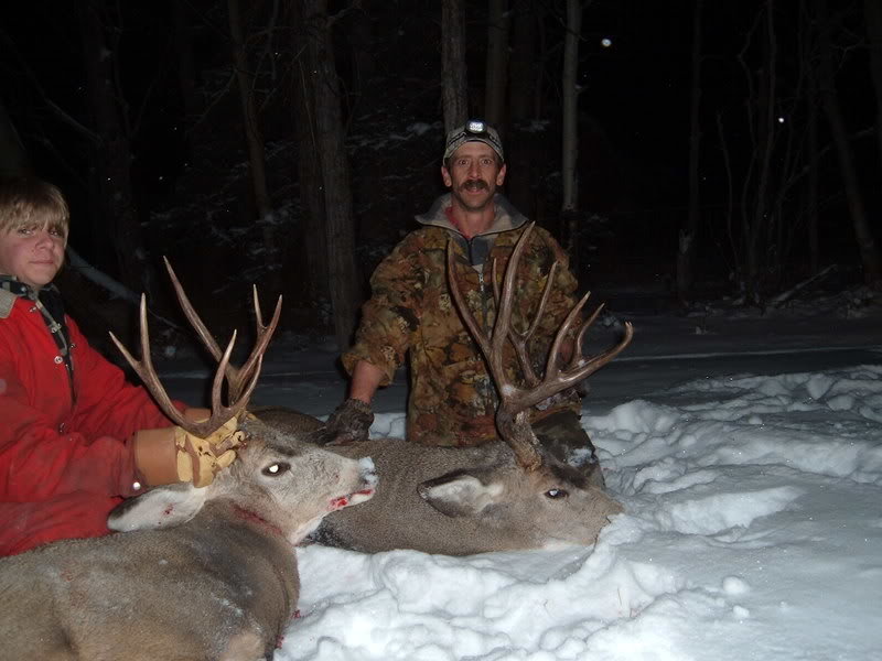 deer030-1_aaec189e27043e542dca3b9e2e5264a8afba2d40.jpg