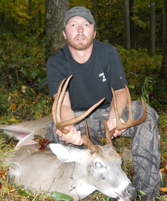 Deer1_2acd67af455c28f11fdaeae18dbdb912b0731f74.jpg