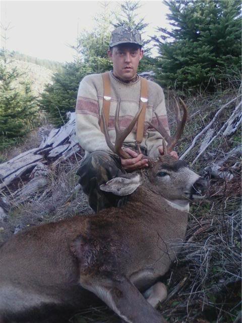 deer1_f274e627bd19bb8355c775971d964da96f829a66.jpg