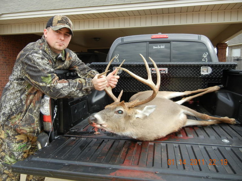DEER2.jpg