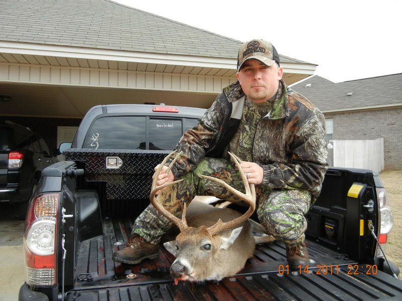 DEER3.jpg