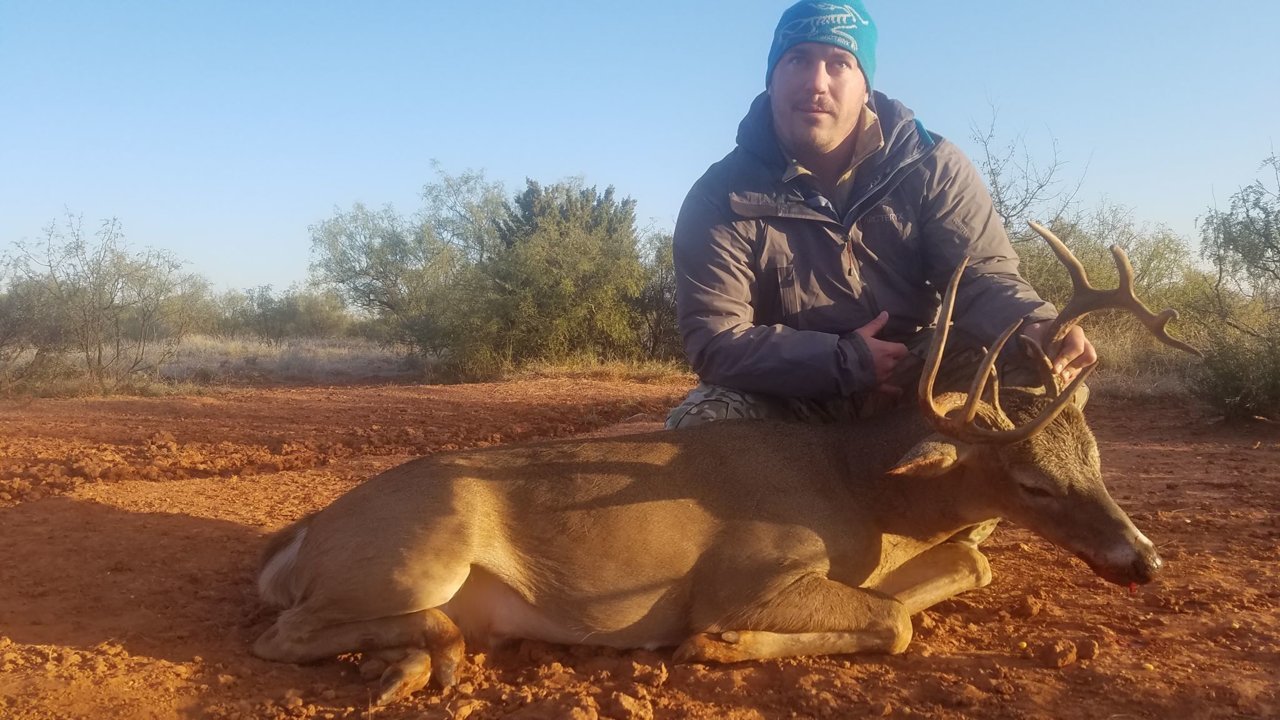 deer9.jpg