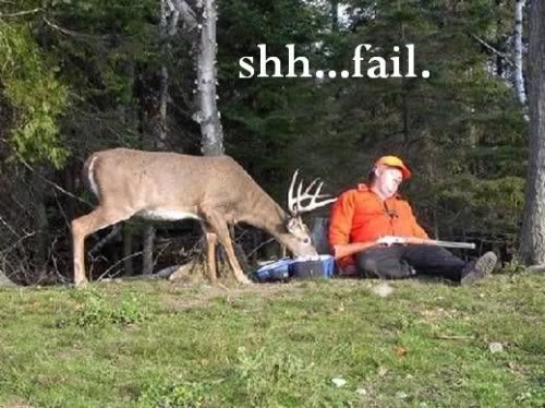Deer_2aee3c32c6f1a5dc80931e44c30998590fc28712.jpg