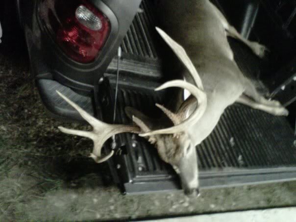 Deer_692b35bb0c6db5efe567c2f64d402130721df4f0.jpg