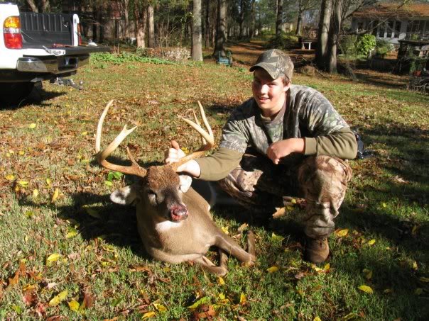 deer_8c99eafb5a0cf31a86a6d29837f0320861f6e6aa.jpg