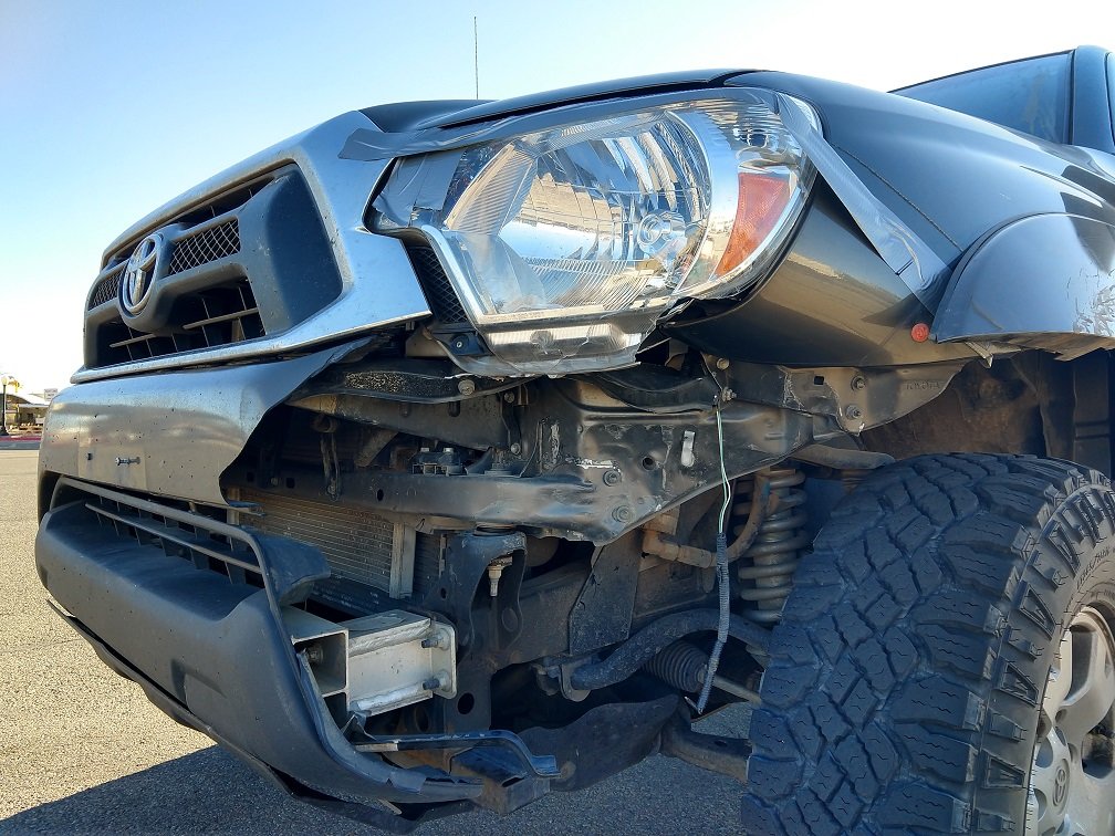 deer_damage.jpg