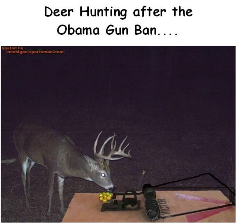 deer_e0d5b74fe710faac59e1a78a9d9f0561a3e55bac.jpg