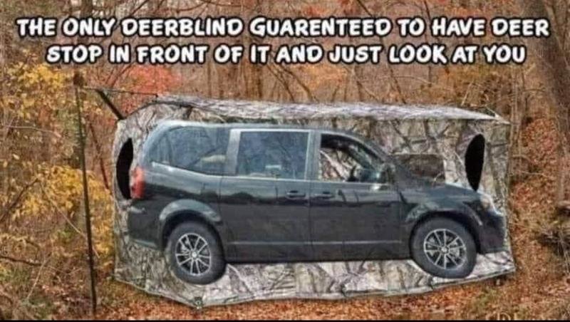 deerblind.jpg