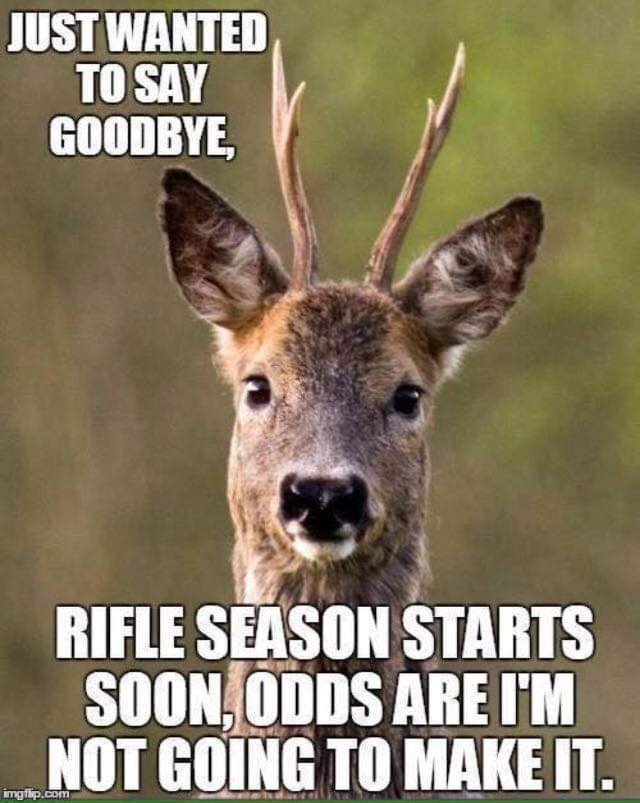 deergone.jpg