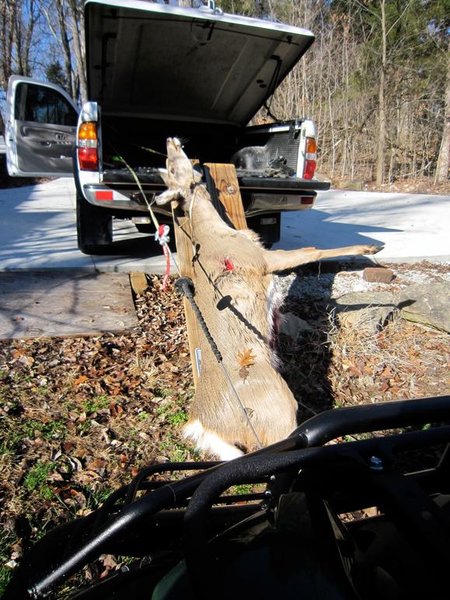 deerwinch.jpg
