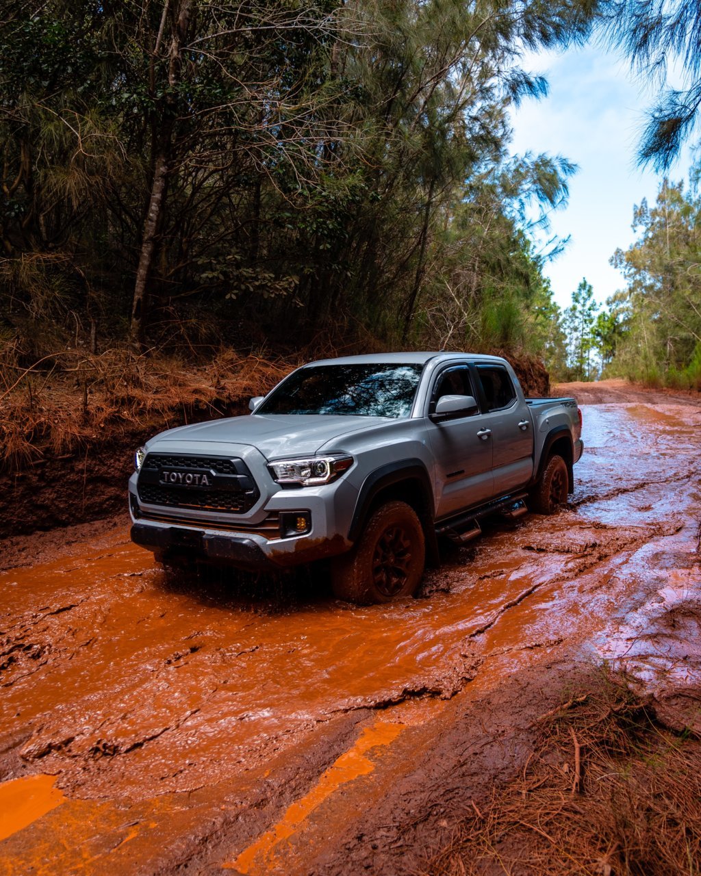 DEF3ACF8-F39E-4BD1-82EB-5BA25368A9B9.jpg