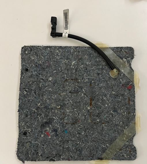 delphi bladder 2.jpg