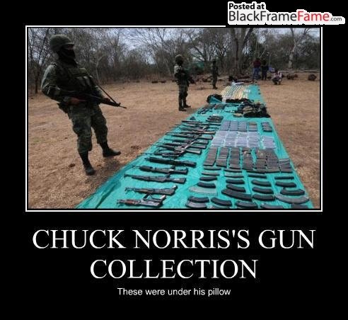 demotivational-posters-chuck-norriss-gun-collection.jpg