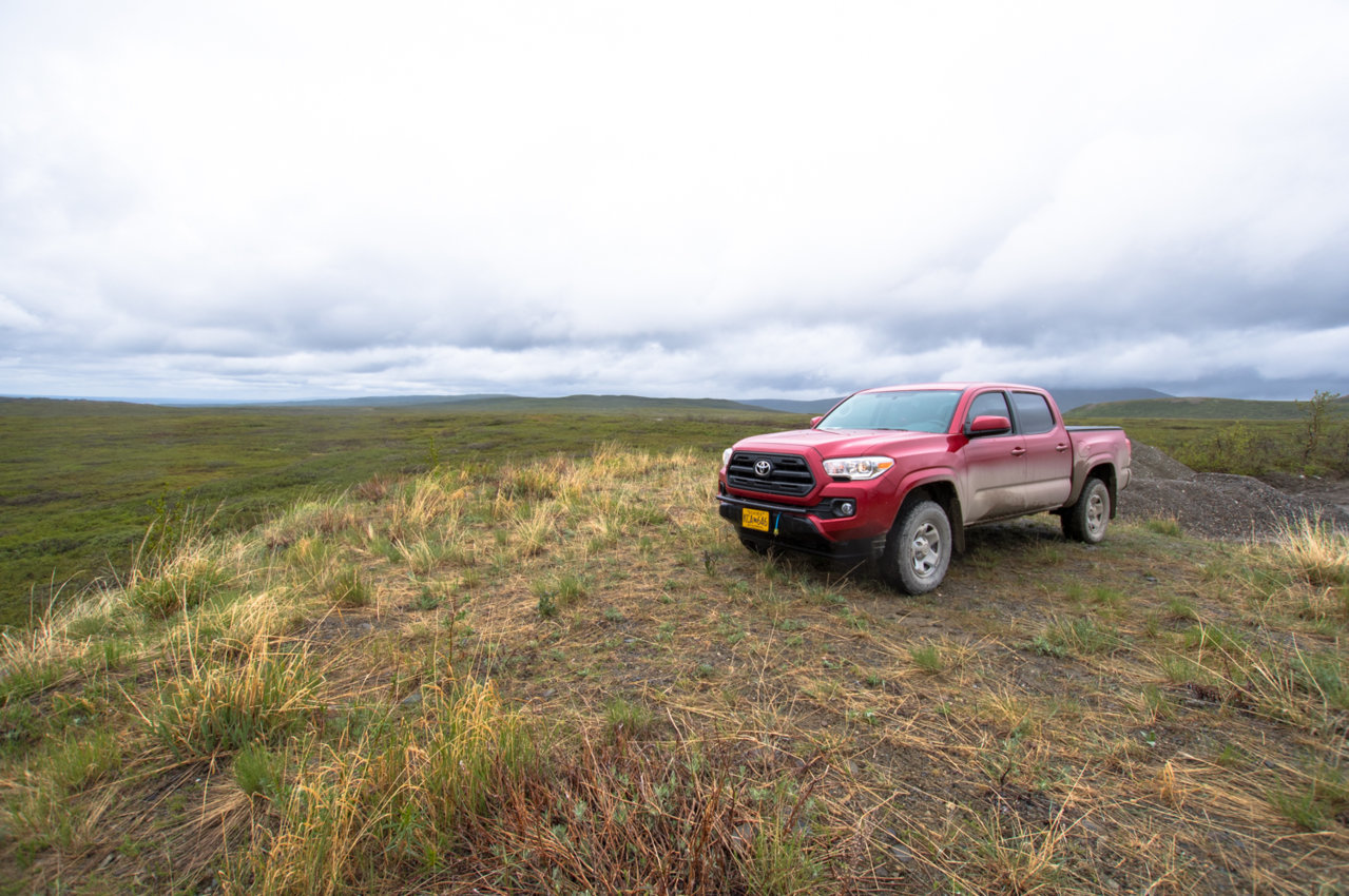 Denali Park Road June-3728.jpg