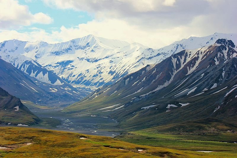 Denali Spring.jpg
