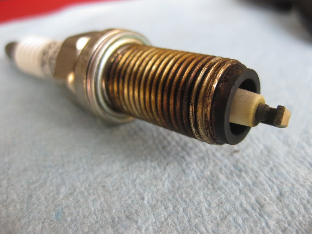 denso5_d7ed8f47cd7e17100a23220a7b7c527a806b1921.jpg