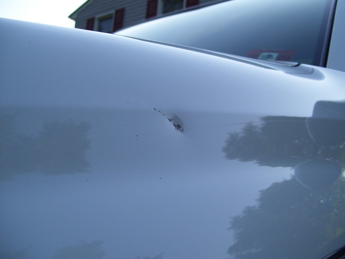 dent3.jpg