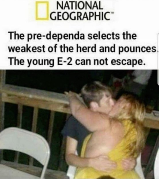 dependa.jpg