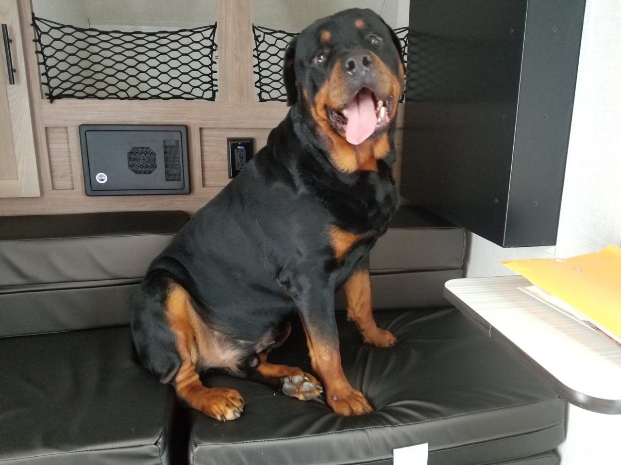 derpy.jpg
