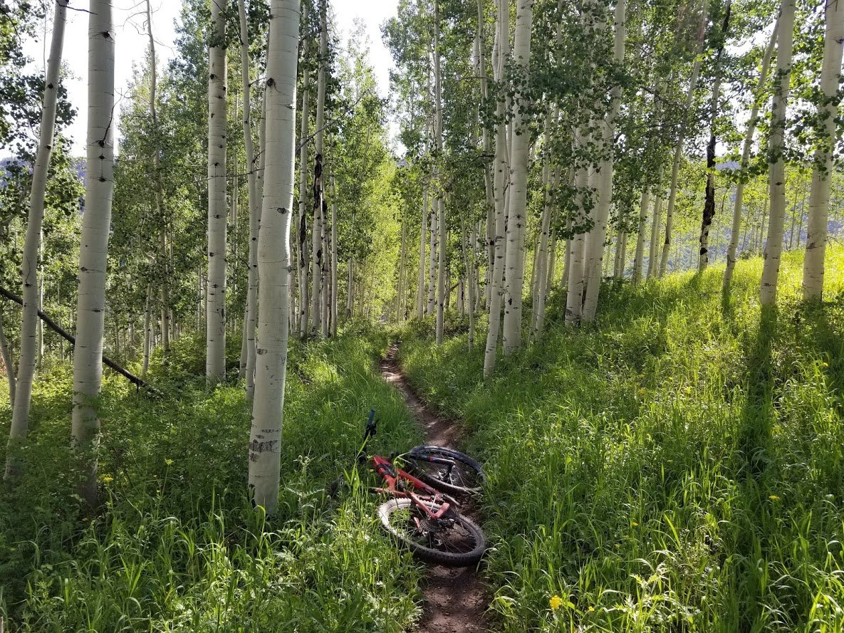 descent - EMT.jpg