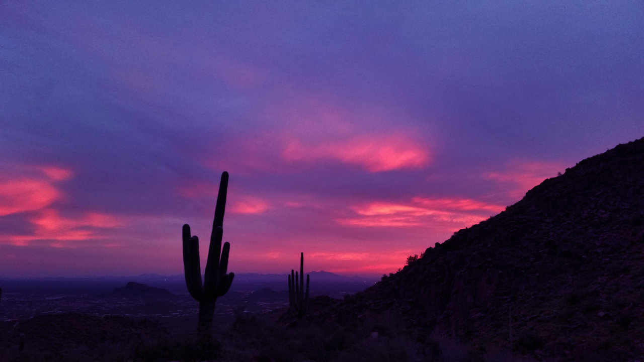 Desert 1.jpg