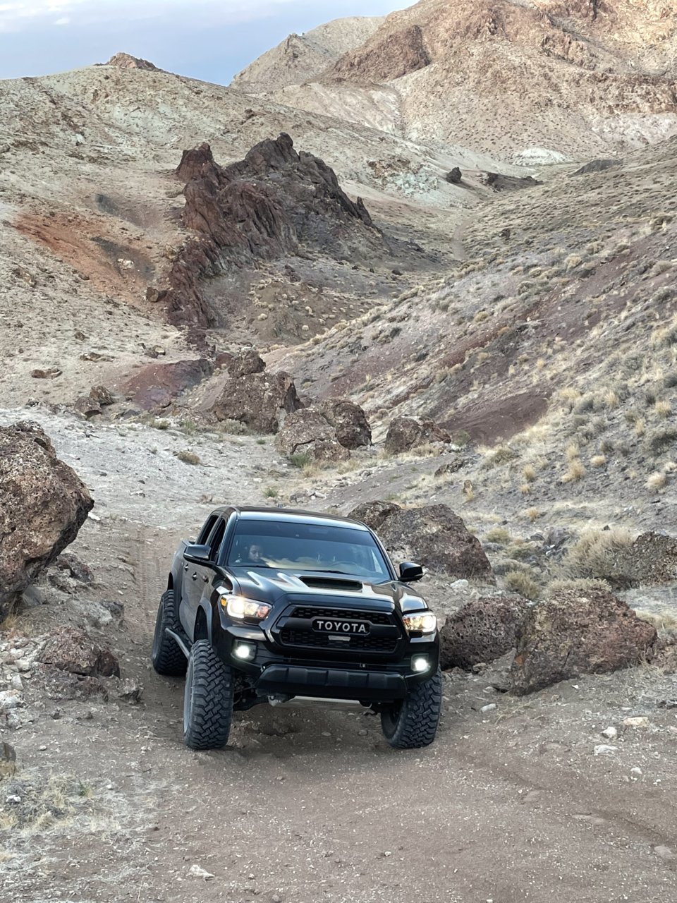Desert 1.jpg