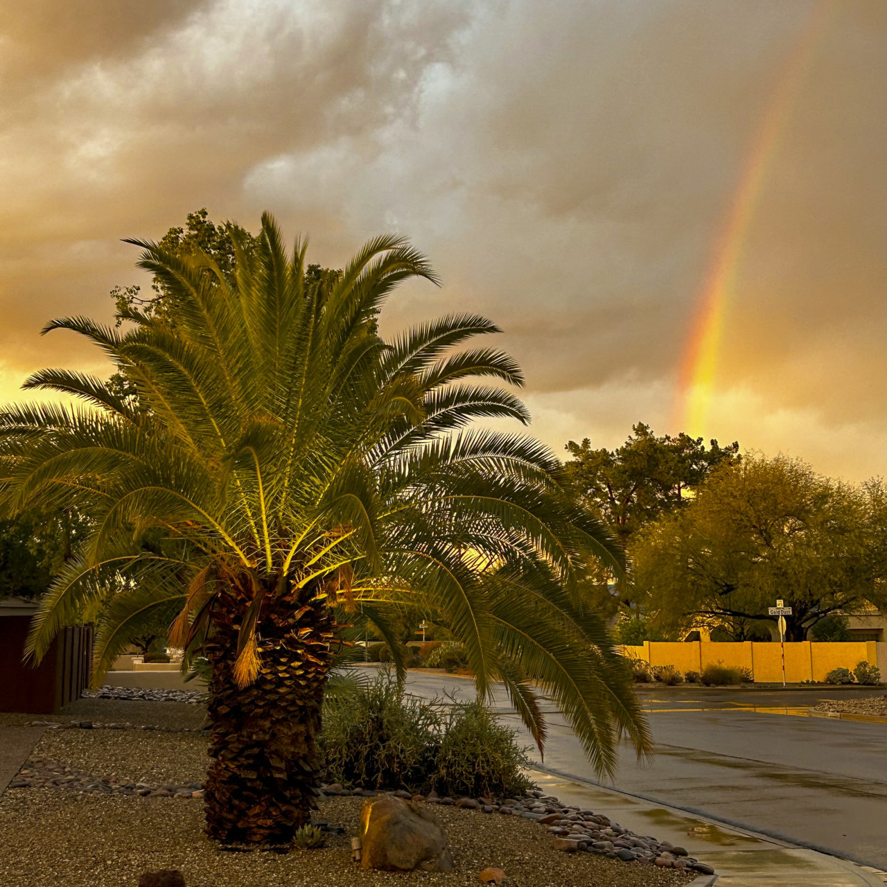 Desert Storm at Sunset2.jpg