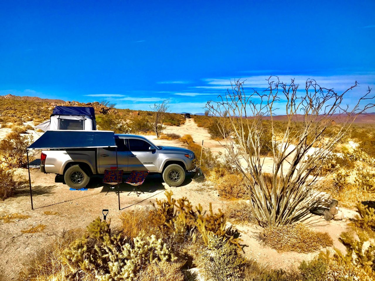 Desert Taco.jpg