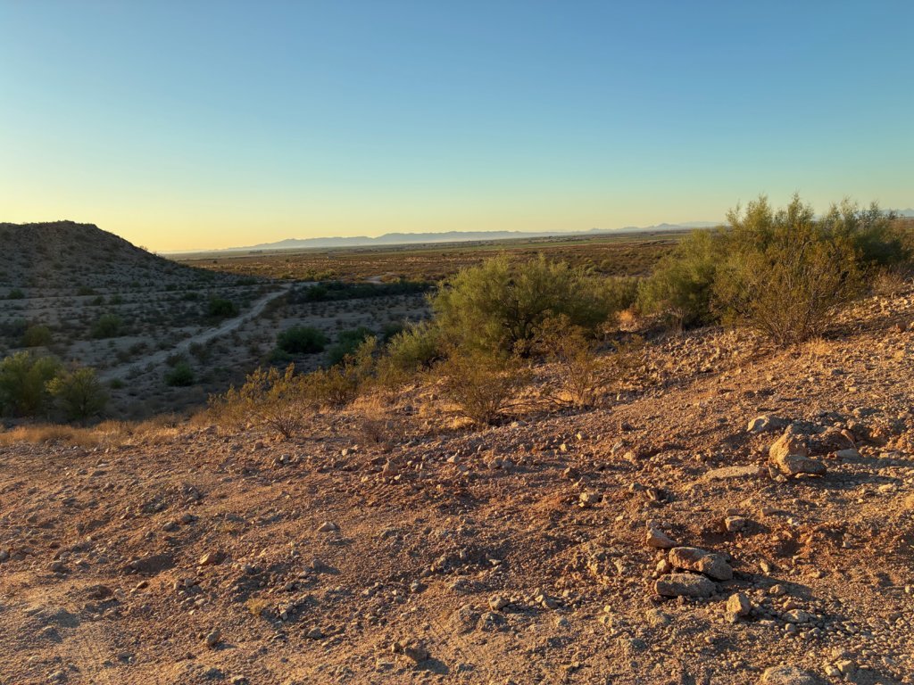 DesertBack.jpg