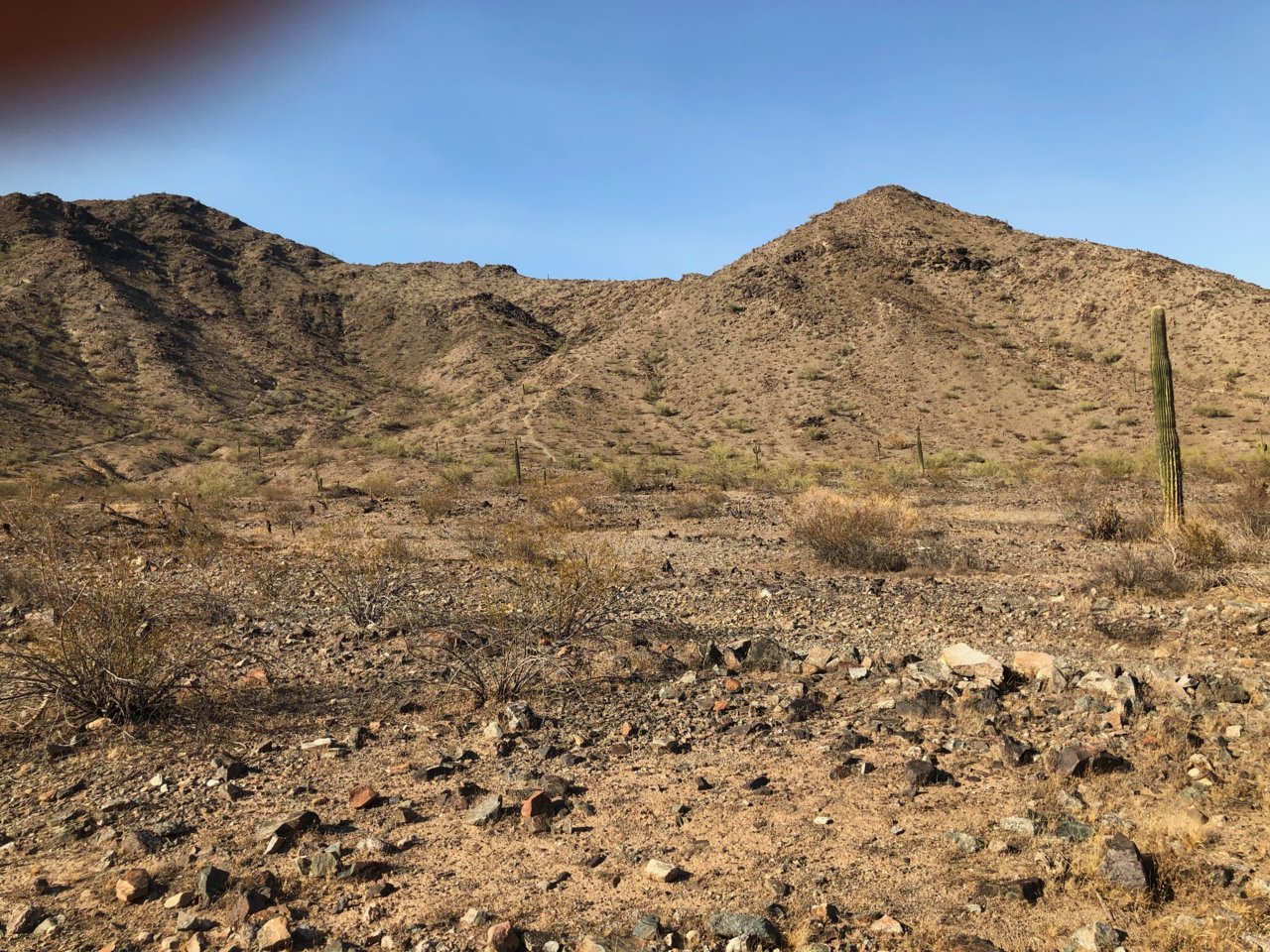DesertScape.jpg