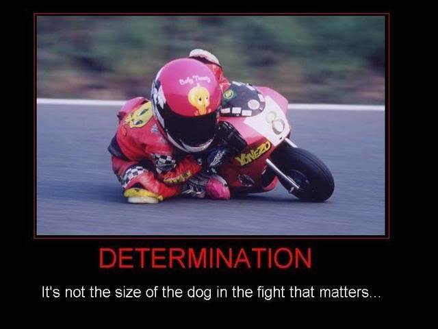 Determination_011b8ff948a8b0af00755588c782261727cb2272.jpg