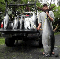 Devin_Hallinstad_176_yellowfin.gif