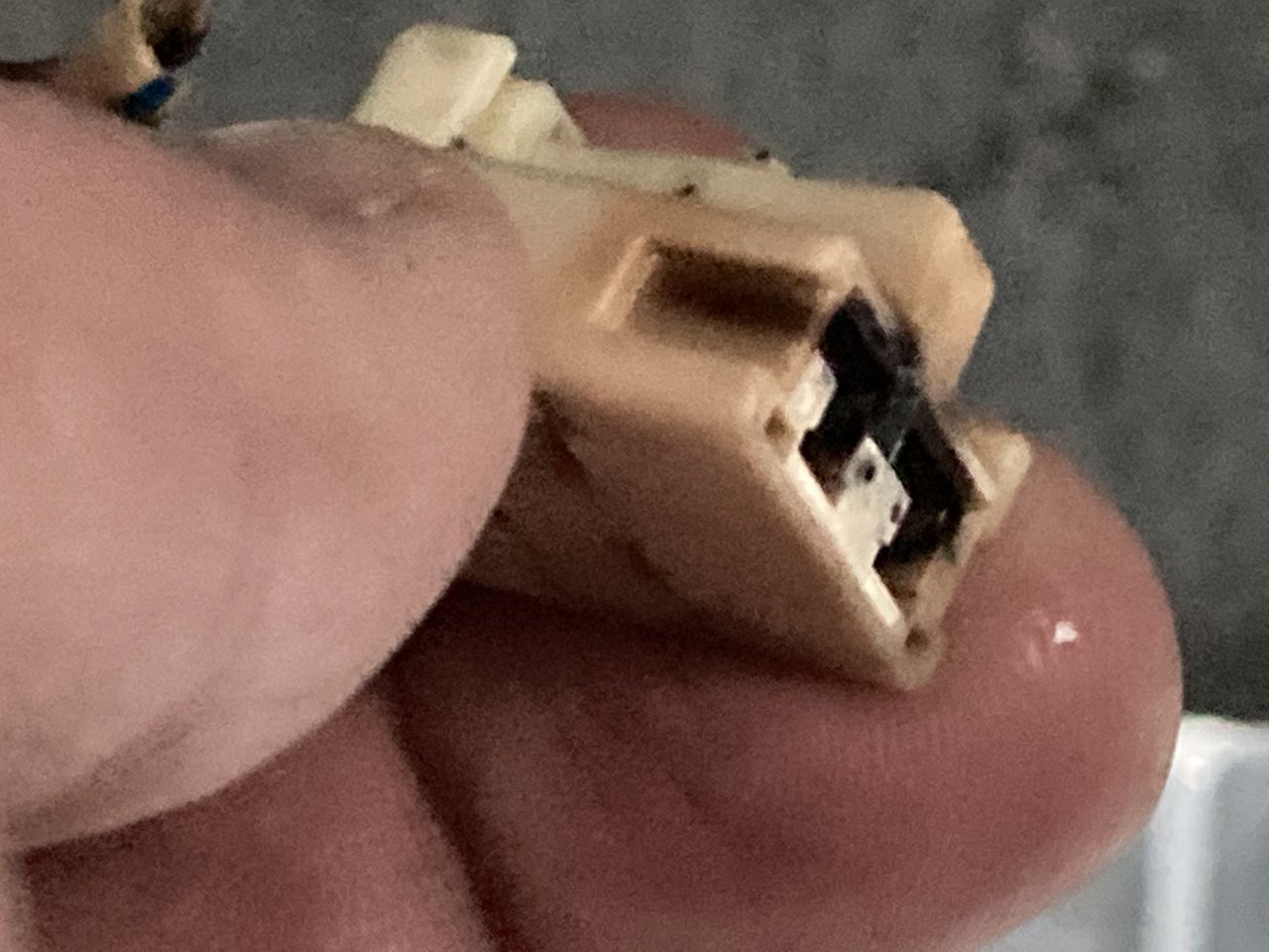 DF7534E1-E172-466E-84F5-8A31E5A05A59.jpg