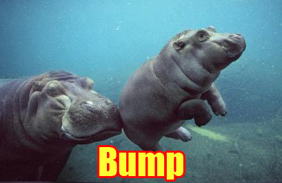 dfeb2480_Bump_zpsc011a27d_0c91f815d0af32ea9e403920c5b186ffdfdce48f.jpg