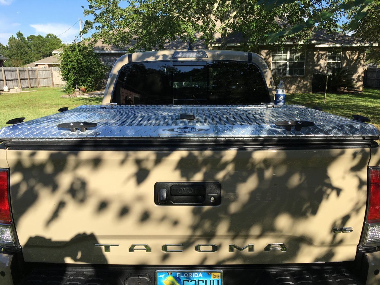 DiamondBack Fit 2.jpg
