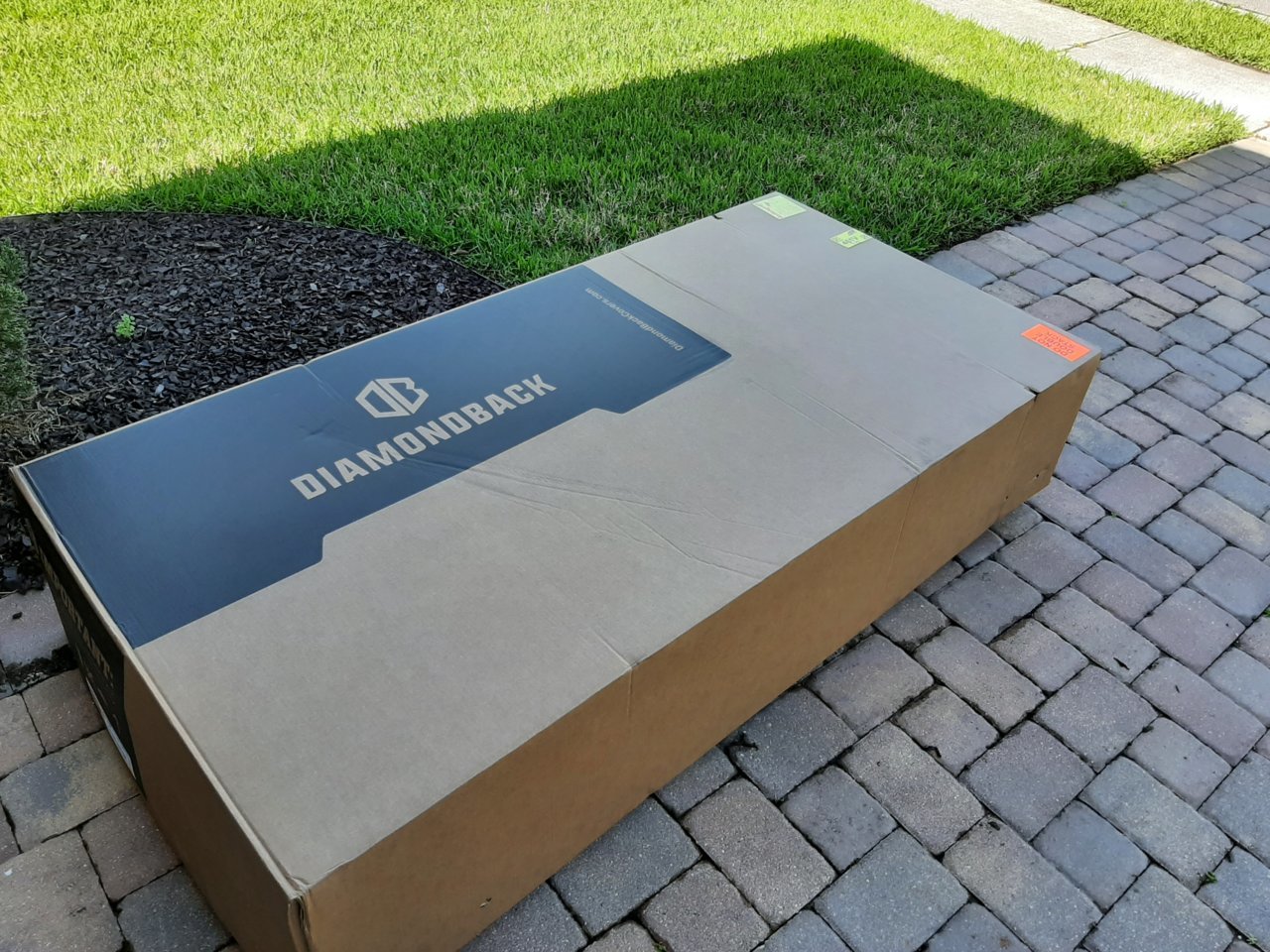 Diamondback1.jpg