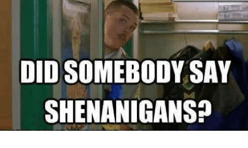 did-somebody-say-shenanigans-8000962.jpg