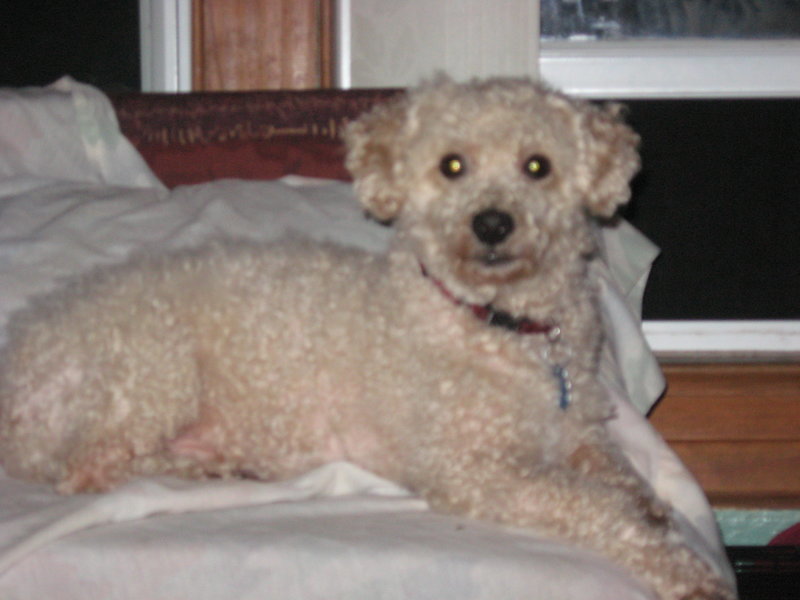 Digital Camera_Canon-070.jpg