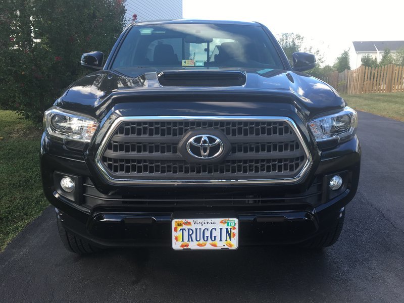 Dipped_Grille.jpg