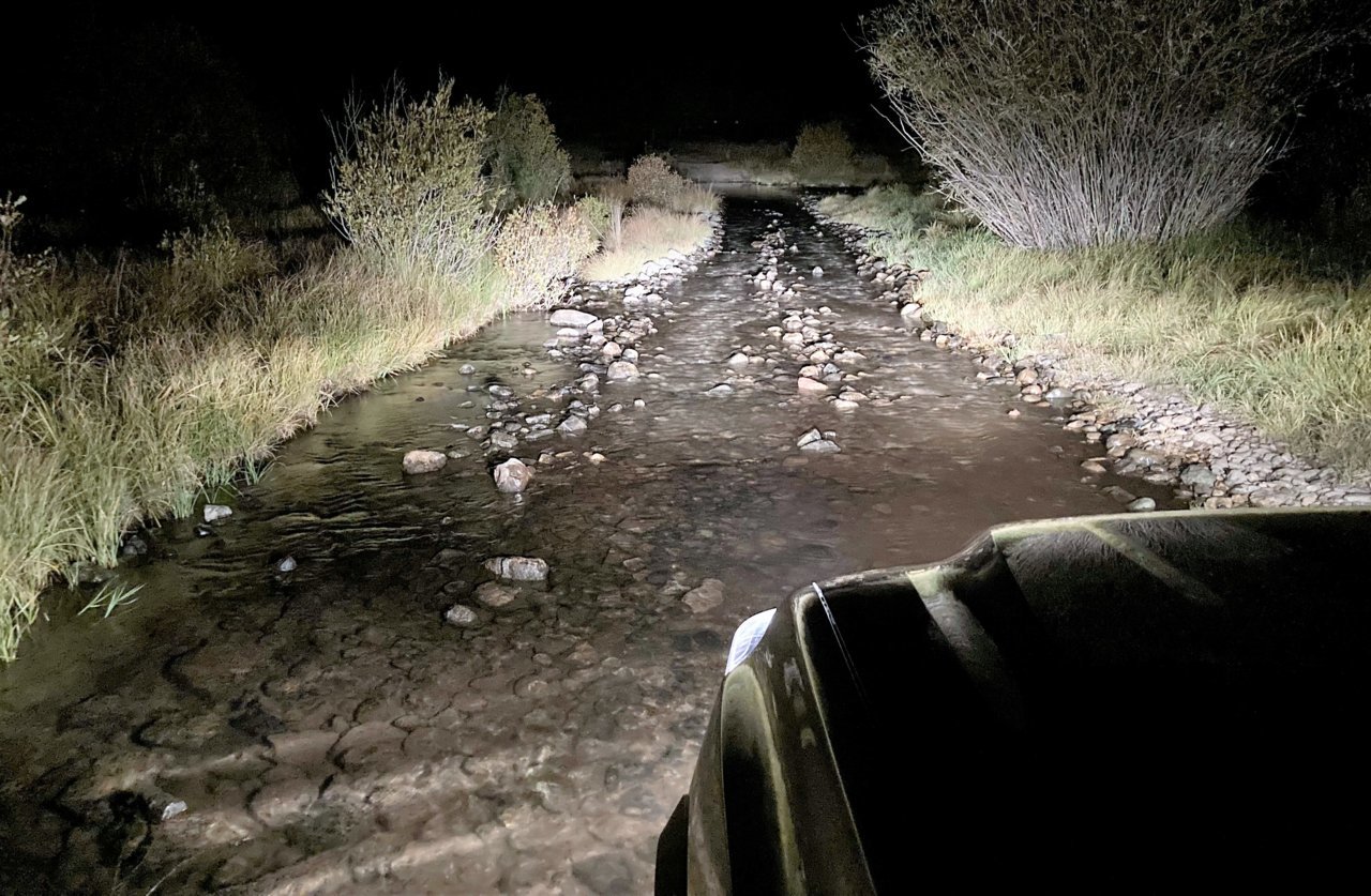dirt 4.jpg