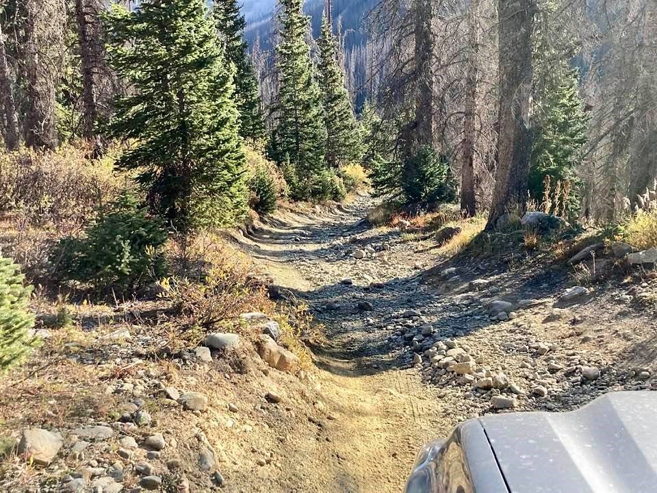 dirt5.jpg